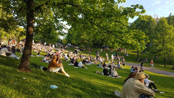 Perfekt für ein Picknick im Grünen