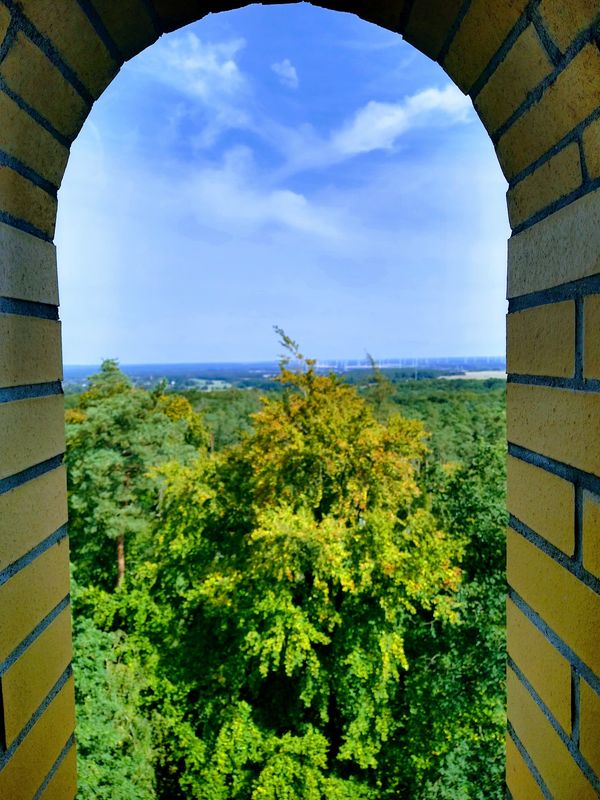Waldabenteuer mit Panoramablick