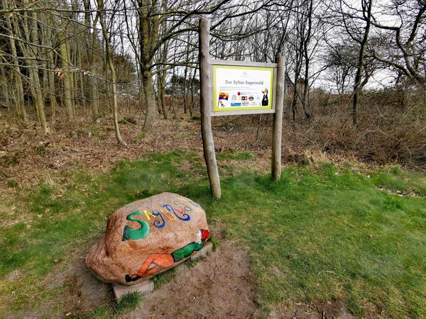 Mystische Geschichten im Wald entdecken