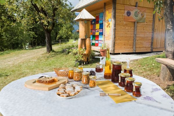 Süße Einblicke in die Imkerei