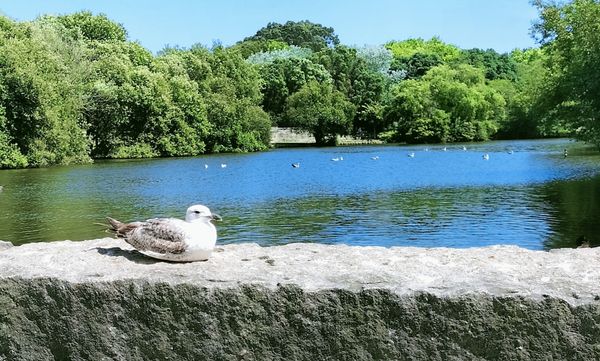 Größter Stadtpark für Familienzeit