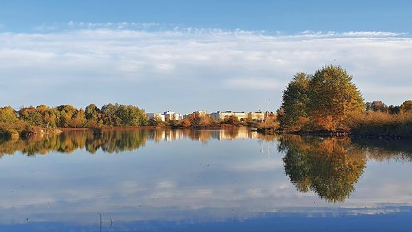 Natur pur: Erkunde Teiche & Tierwelt