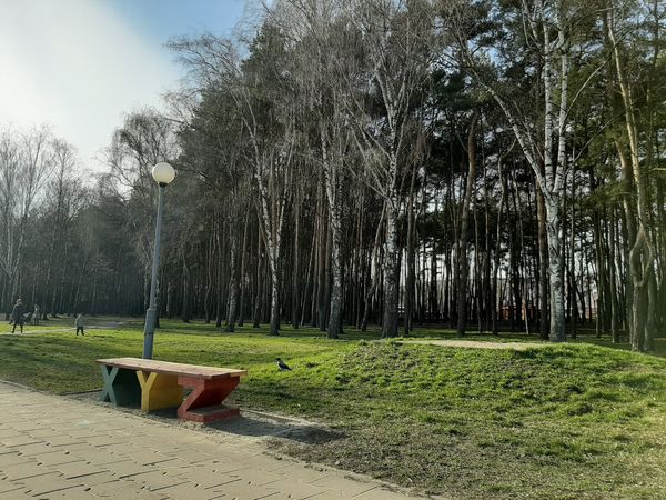 Entspannung und Spaß im Park