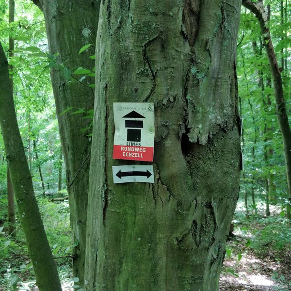 Römische Geschichte hautnah erleben
