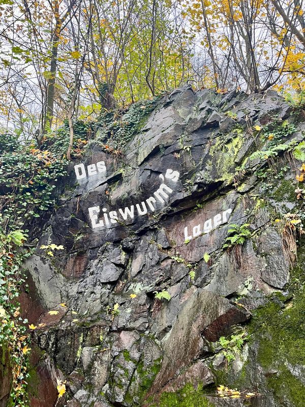 Auf Drachenjagd im Stadtgebiet