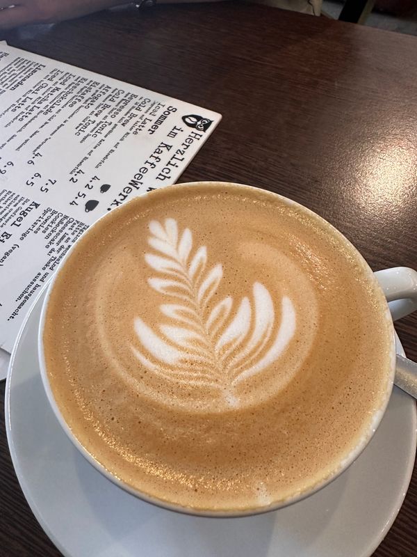 Besten Kaffee & Käsekuchen genießen