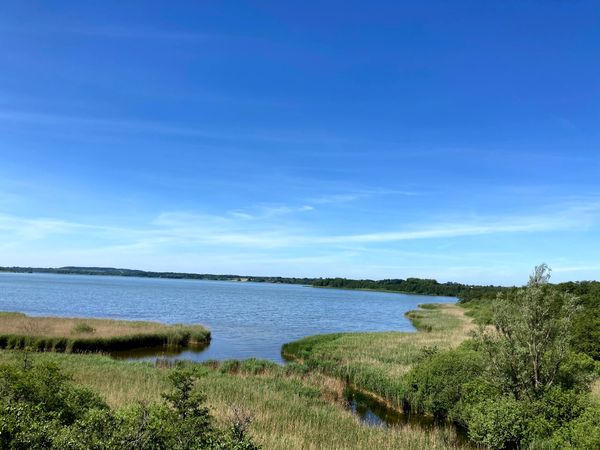 Erkunde die einzigartige Natur nahe Scharbeutz