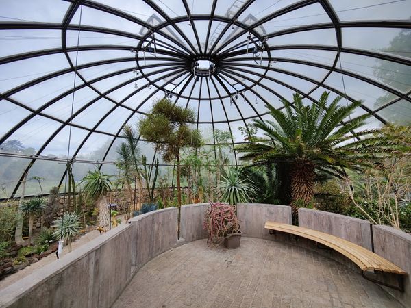 Entdecke Pflanzen im Botanischen Garten