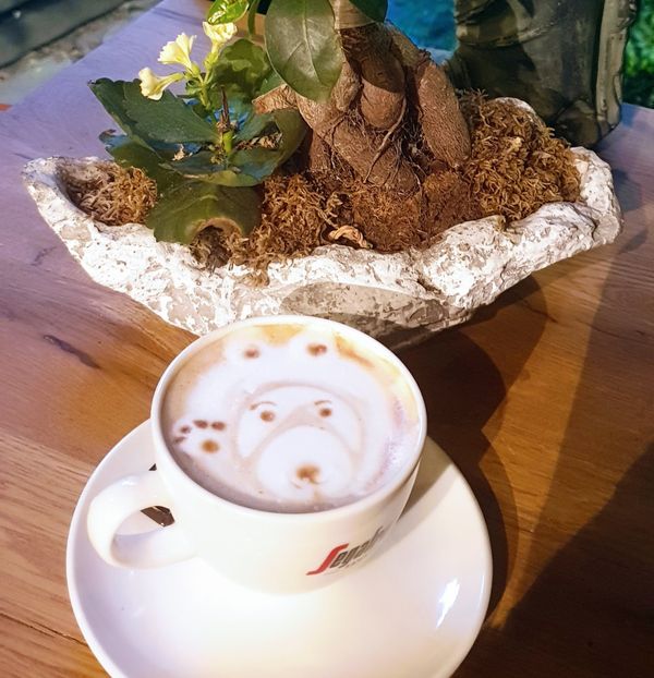 Spezialitätenkaffee in stilvollem Ambiente