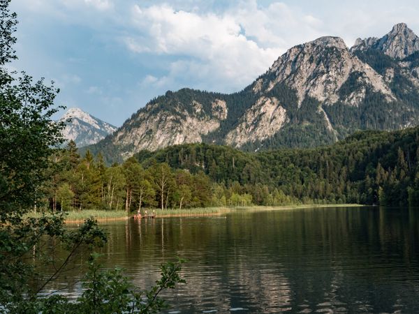 Idyllische Momente am malerischen Schwansee
