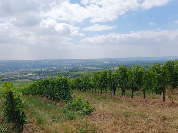 Premiumwandern in idyllischer Landschaft