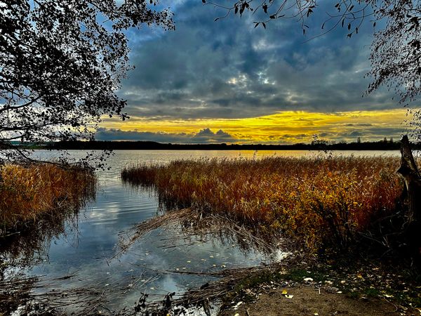 Abenteuer und Entspannung am Inselsee