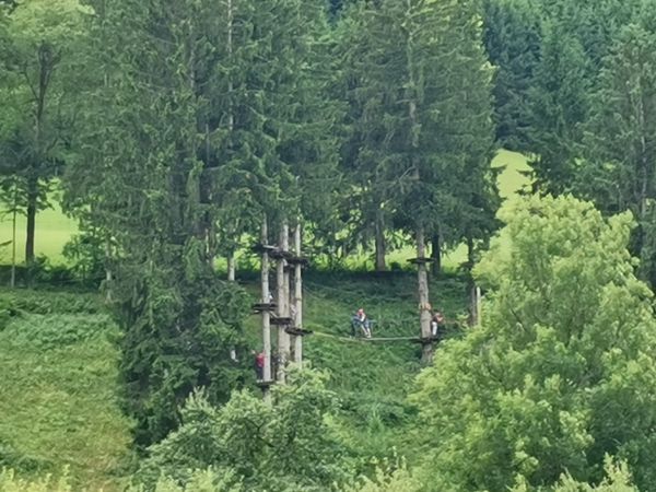 Hoch hinaus im Waldabenteuer: Kletterspaß für die ganze Familie