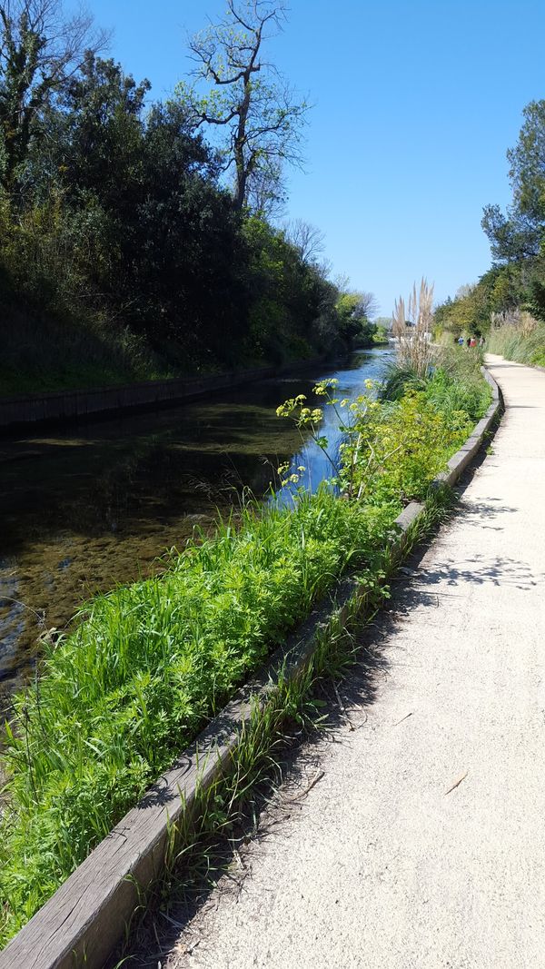 Geheime Pfade entlang des Wassers