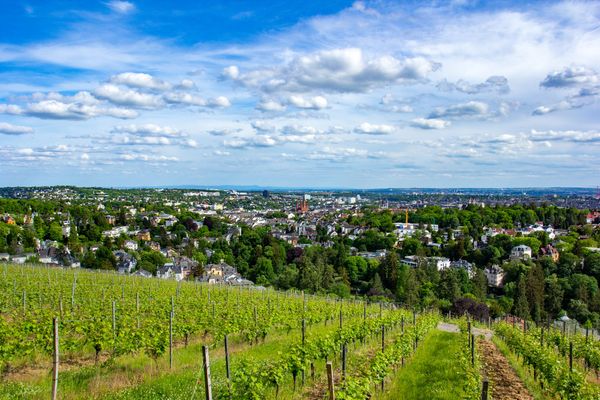 Aussicht und Abenteuer über Wiesbaden
