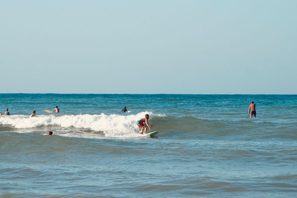 Surfen lernen am Strand