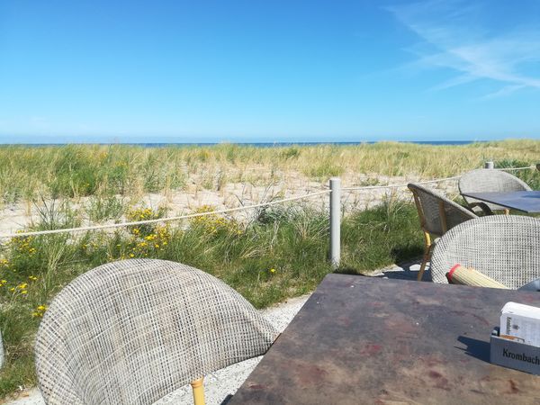 Magische Abende genießen