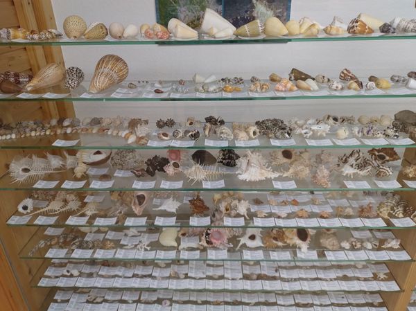 Entdecke glitzernde Naturwunder