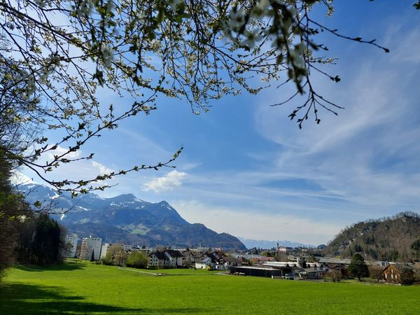 Kultureller Schmelztiegel im Herzen Vorarlbergs