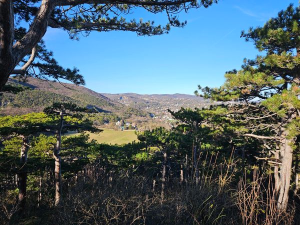 Entdecke die atemberaubende Natur in Mödling