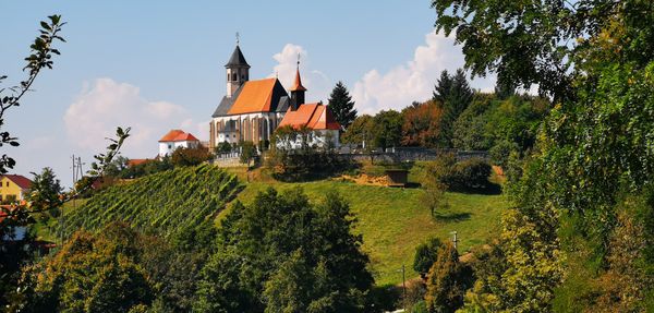 Gotische Meisterwerke entdecken