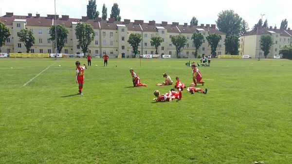 Den Wombats Rugby Club anfeuern