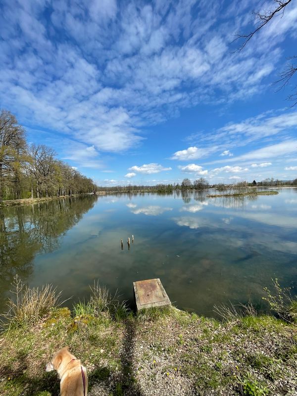 Natur pur: Erkunde Teiche & Tierwelt