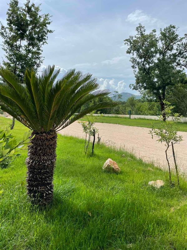 Natur pur im brandneuen RV Camp