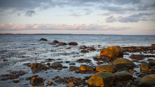 Naturwunder entlang der Ostsee