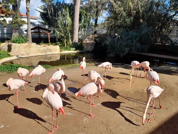 Tierische Begegnungen für die Familie