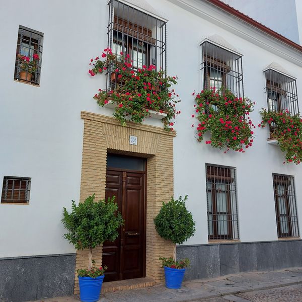 Entdecke die Patios von San Basilio