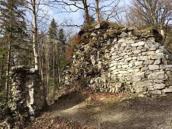 Historische Entdeckungen bei der Burgruine