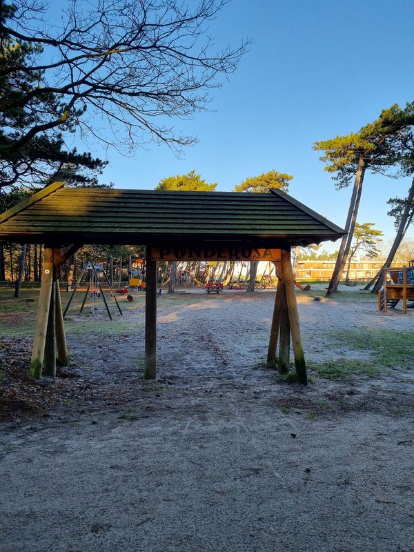 Abenteuer auf dem Waldspielplatz