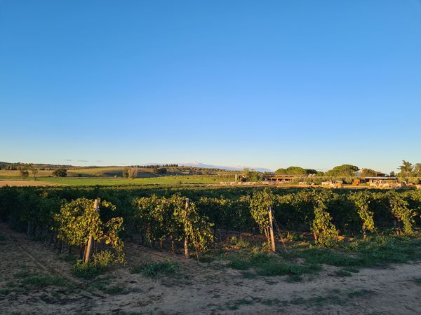 Erkunden Sie das unberührte Paradies der Maremma