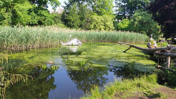 Grüne Oase der Ruhe