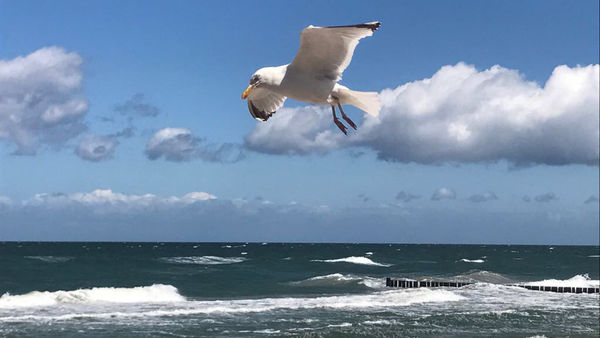 Lokaler Geheimtipp für Strandliebhaber
