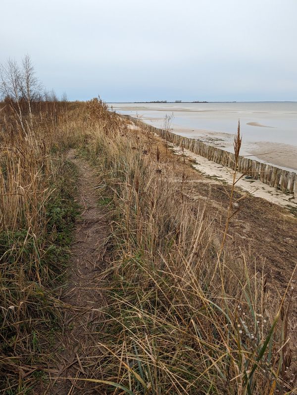 Vogelbeobachtung am Kooser See