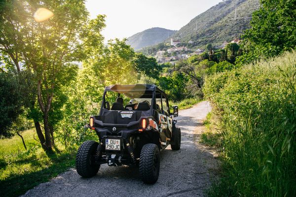 Adrenalin-Kick in der Natur