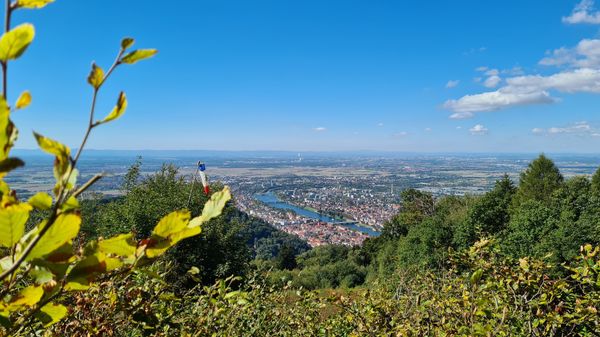 Abenteuer über den Dächern der Stadt