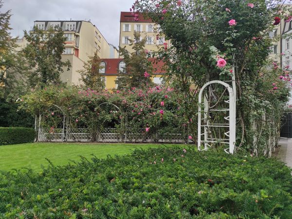 Versteckte Oase der Ruhe im Herzen Prags