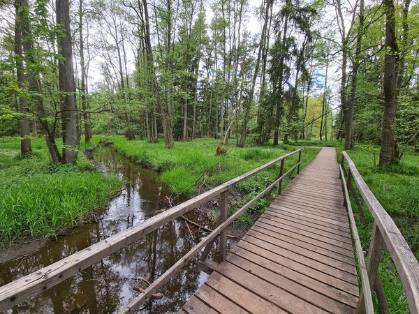 Naturerlebnis für Kids