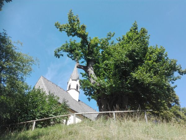 Traditionelles Theater mit modernem Touch