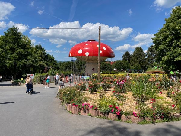 Familienspaß im Grünen