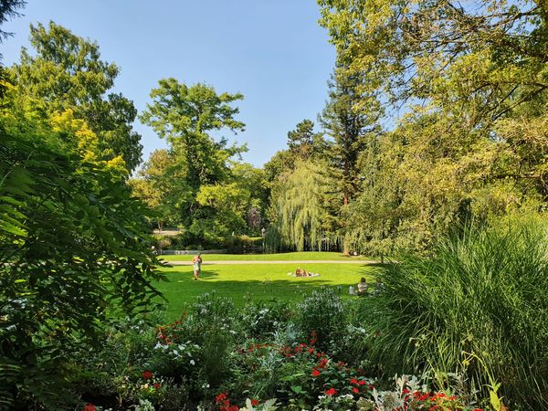 Spaziere durch mediterranes Flair mitten in Würzburg