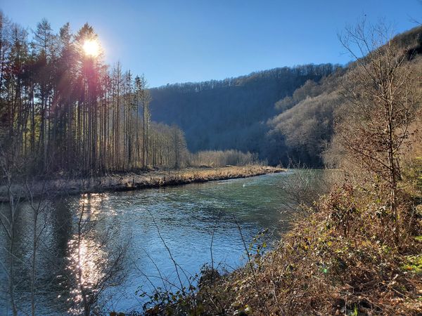 Natur pur auf dem Wanderweg