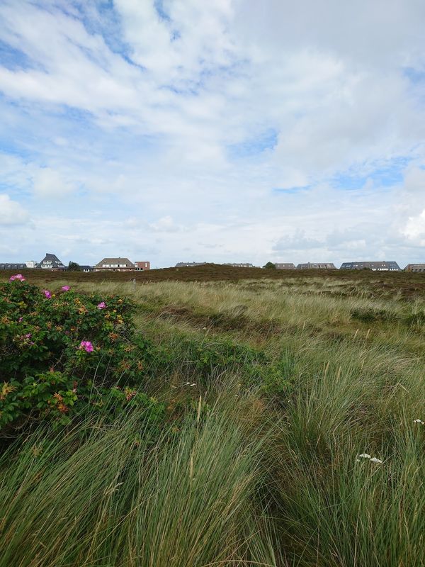 Naturwunder im Norden Sylts