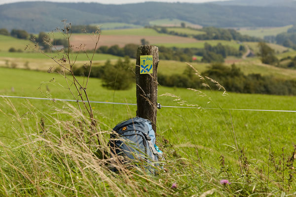 Natur pur im malerischen Weserbergland