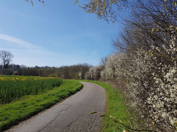 Entdecke seltene Tiere im Dosenmoor