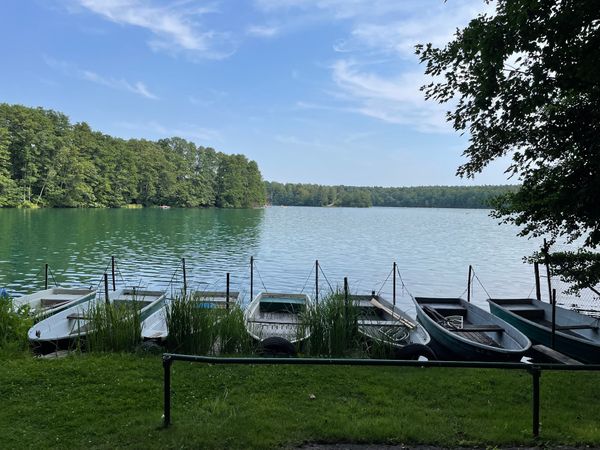 Kristallklares Wasser inmitten üppiger Wälder