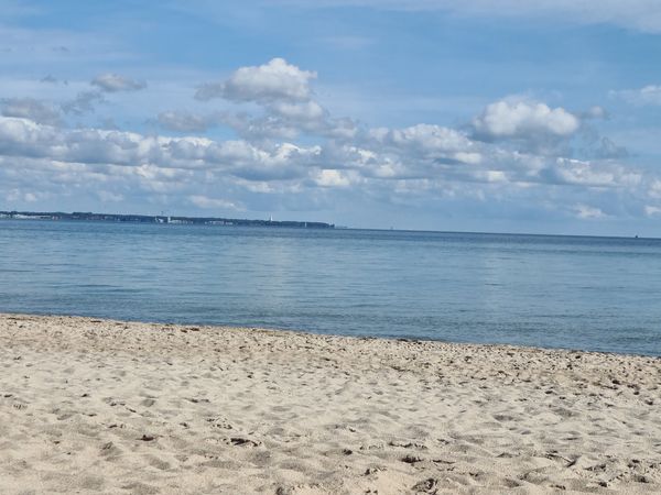 Strandspaß für Vierbeiner